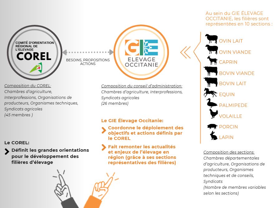 Lien COREL et GIE
